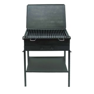 EDERA BARBECUE A CARBONE 35X50